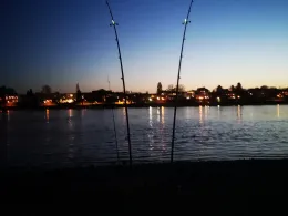 Rhein (Königswinter)-1