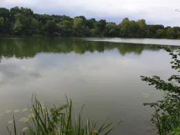 Dreiecksteich (Hannover)-1