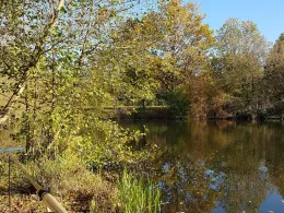 Dreiecksteich (Hannover)