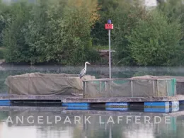 Angelpark Lafferde-3