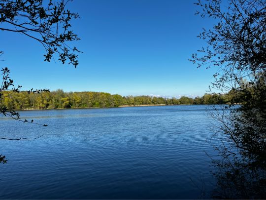 Kiesgruben Schweringen West-4