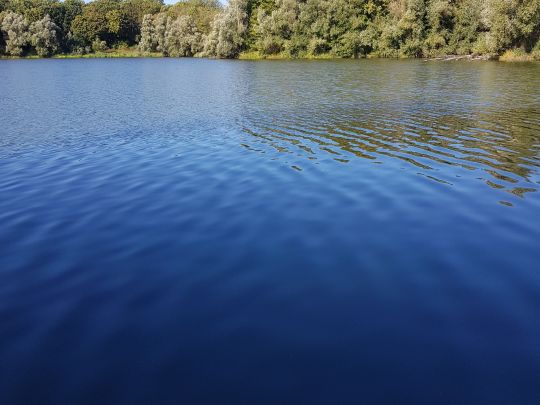 Kiesgruben Schweringen West-3