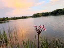 Kiesgruben Schweringen West-0