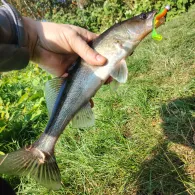 Küstenkanal (Edewecht)-3