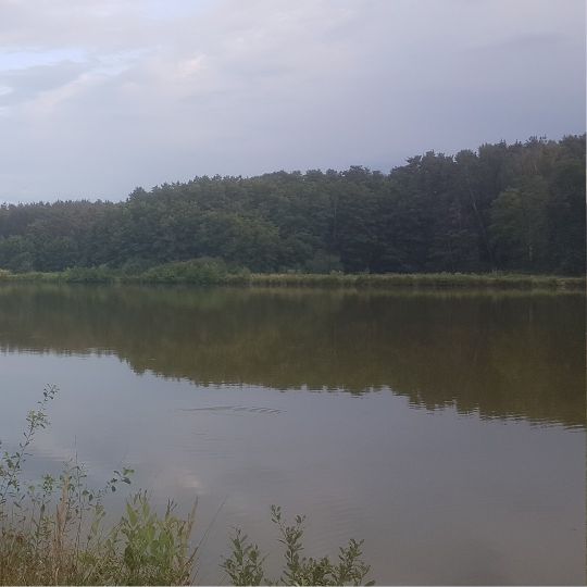 Angeln in Wilhelmsdorf