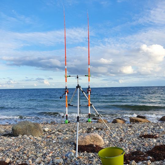 Ostsee (Als) angeln