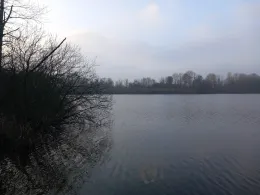 Poggensee (Bad Oldesloe)