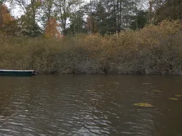 Poggensee (Bad Oldesloe)-4