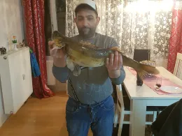 Havel (Heiligensee)-1