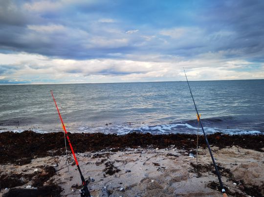 Ostsee (Fehmarn-Altenteil)-1