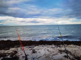 Ostsee (Fehmarn-Altenteil)-1