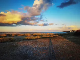 Ostsee (Fehmarn-Altenteil)-3