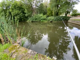 Mühlenteich (Deersheim)