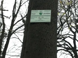 Mühlenteich (Deersheim)-2