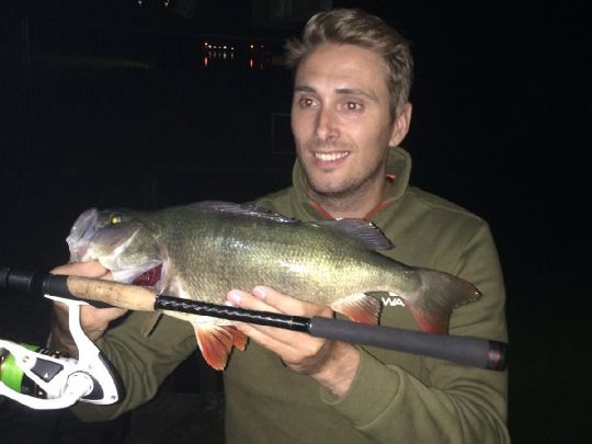 Dortmund-Ems-Kanal (Münster)-4