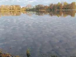 Neuweiher (Wiesenfelden)-2