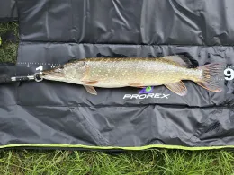 Neuweiher (Wiesenfelden)-3