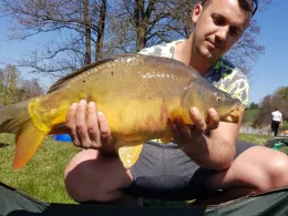 Neuweiher (Wiesenfelden)-1