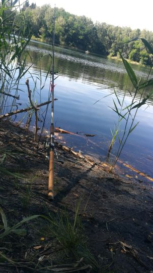 Kleiner Wildgruber See (Tröbitz)-4