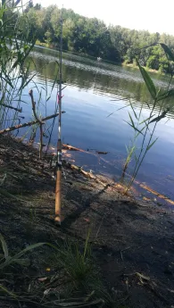 Kleiner Wildgruber See (Tröbitz)-4