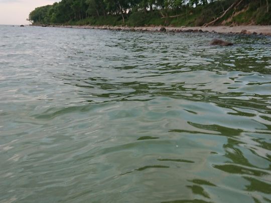 Ostsee (Fehmarn-Katharinenhof)