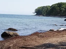 Ostsee (Fehmarn-Katharinenhof)-2