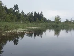 Schreckensee (Wolpertswende)-1
