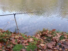 Emsaltarm Esterfelder Forst-2