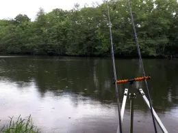 Emsaltarm Esterfelder Forst