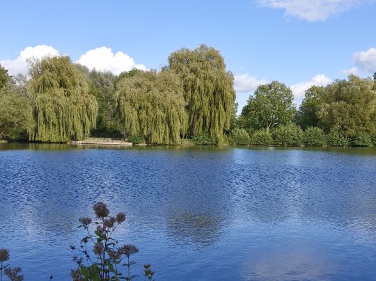 Friedrich-Ebert-Park Hamm-1