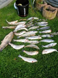 Angelpark Ingersauer Mühle