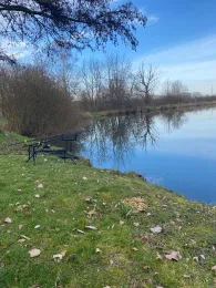 Anglerteich Kindelbrück-2