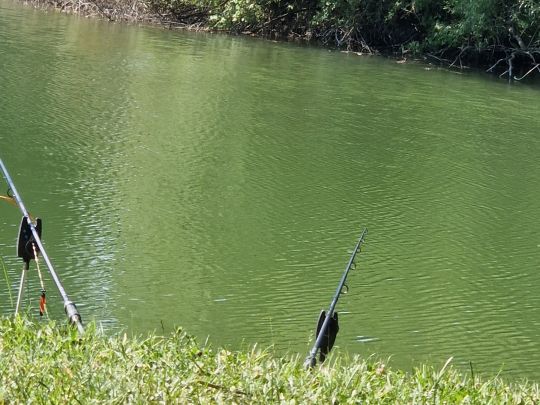 Anglerteich Kindelbrück-3