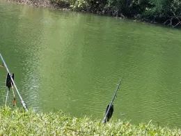 Anglerteich Kindelbrück-3