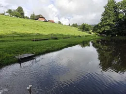 Kreuzhofweiher (St. Peter)-1