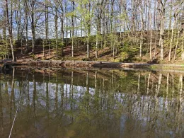 Kreuzhofweiher (St. Peter)