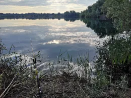 Cemex-See (Schladen)-1