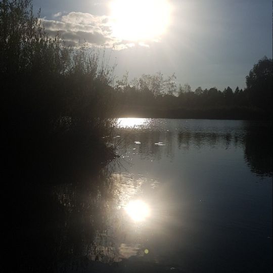 Röhmsee (Baltringen)-3