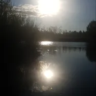 Röhmsee (Baltringen)-3