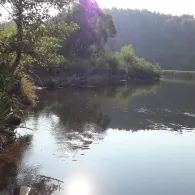 Donau (Immendingen)-3