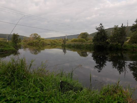 Donau (Immendingen)-0