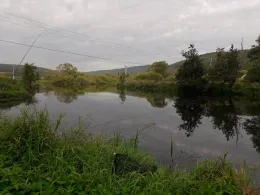 Donau (Immendingen)-0