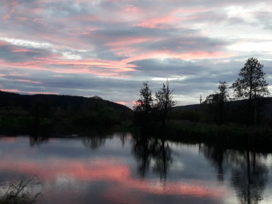 Donau (Immendingen)-1