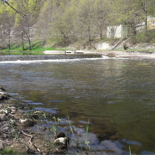 Donau (Immendingen)-2