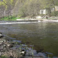 Donau (Immendingen)-2