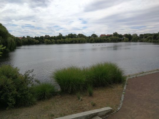 Vorderer Gotthardteich (Merseburg)-3