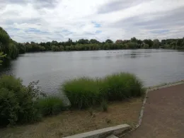 Vorderer Gotthardteich (Merseburg)-3