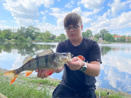 Vorderer Gotthardteich (Merseburg)-2