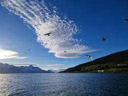 Lyngen-2