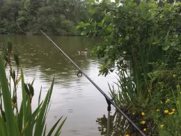 Center Parcs Bispinger Heide-1